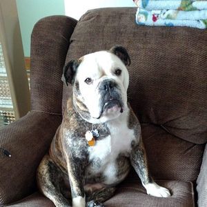 Meet your Posher, Dan